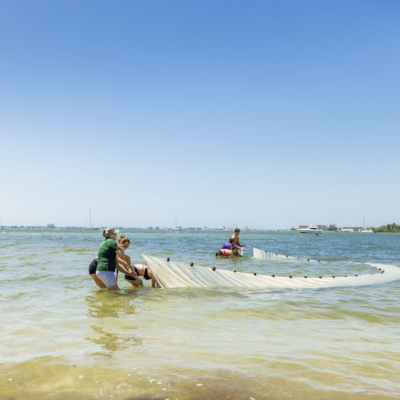 USF Libraries celebrates new “Gulf Scholars” program